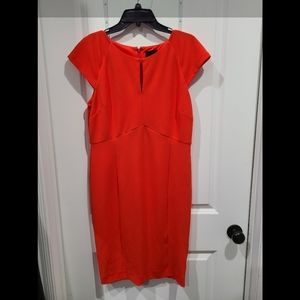 Alex Marie fitted dress